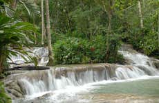 Excursión a las cascadas del río Dunn