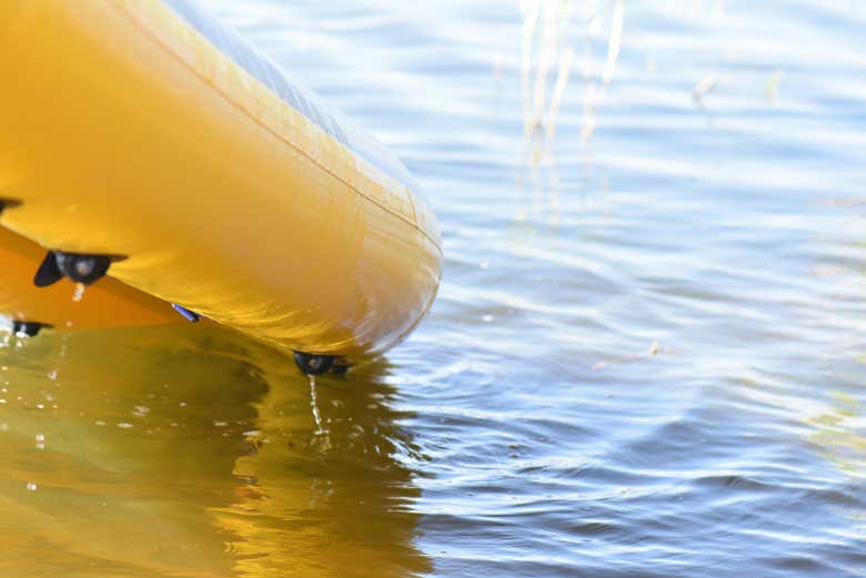Entrez dans les eaux de la rivière Bueno