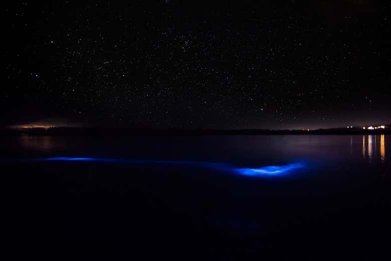 Laguna Luminosa 