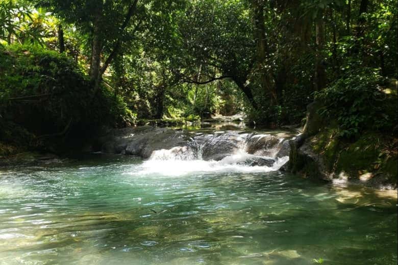 Le paysage de la rivière Bueno