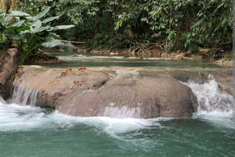 La rivière vous offrira également des étendues d'eau paisibles