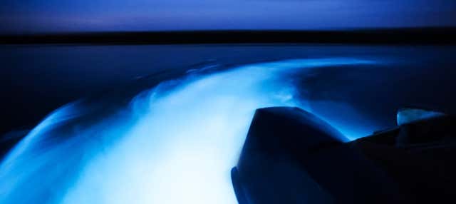 Paseo nocturno en barco por la Laguna Luminosa