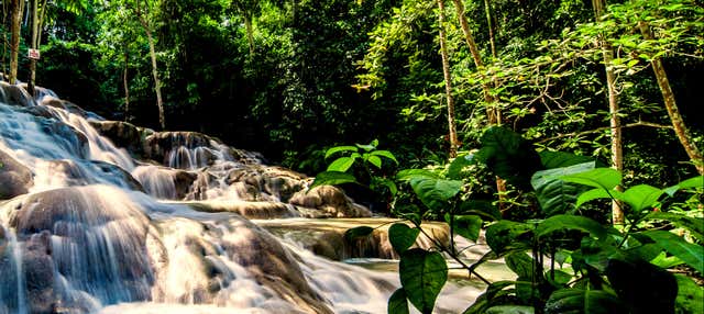 Tour de Bob Marley + Cascadas del río Dunn