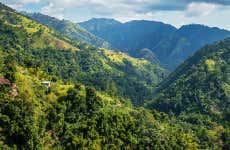 Blue Mountain Coffee Day Trip
