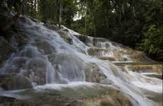 Excursion aux chutes de la Dunn