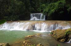 Excursión a las cataratas Mayfield Falls