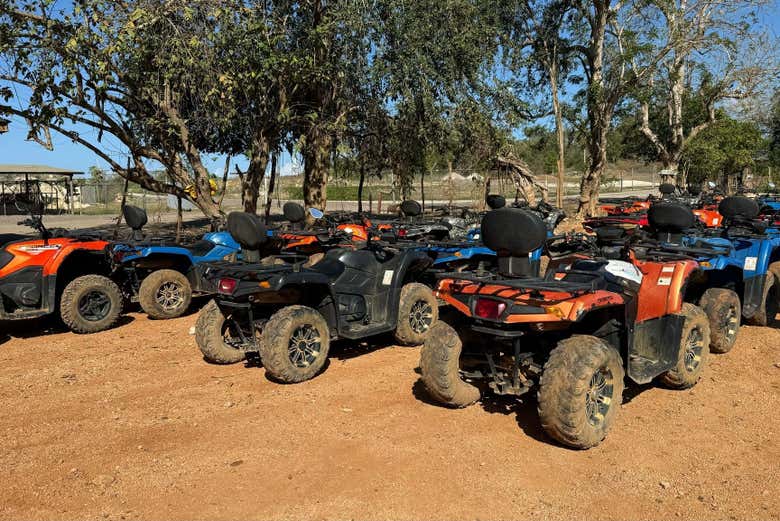 O encantará la ruta en los quads por lo más profundo de Negril