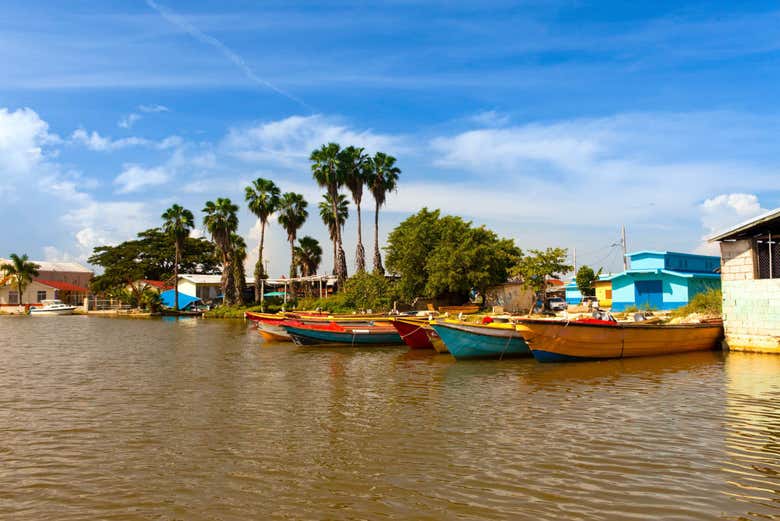 Boats on the Black River