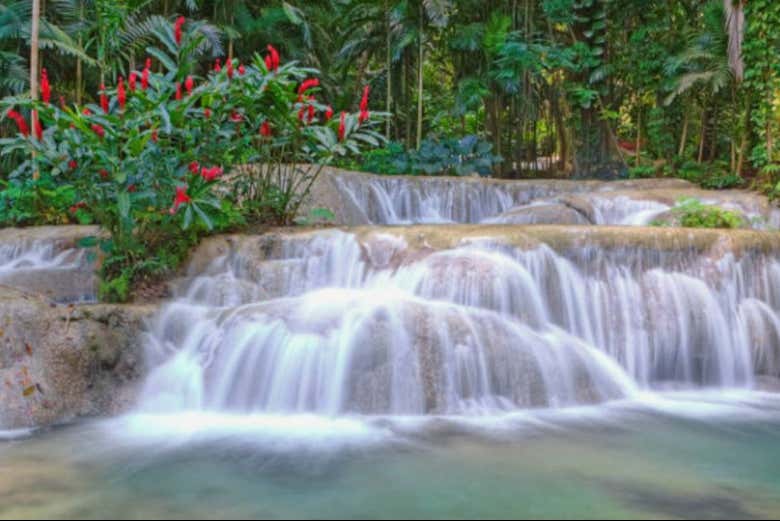Precioso paisaje de Mayfield Falls 