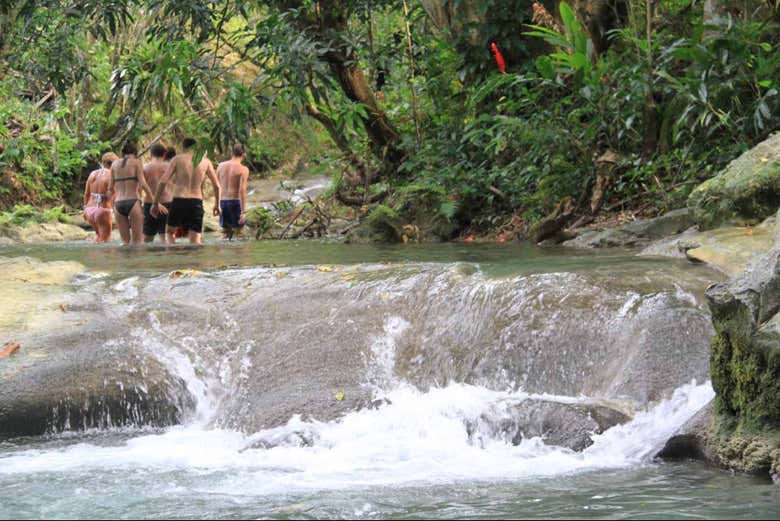 Aguas cristalinas de las cascadas de Mayfield Falls