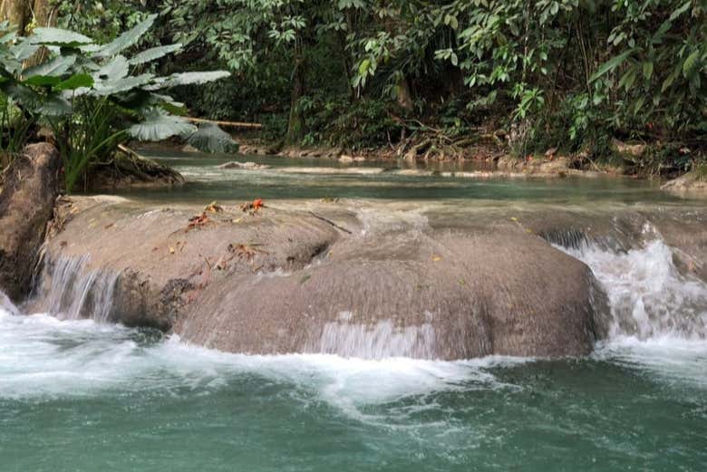 ¡Os encantará escuchar el sonido del agua!