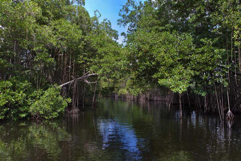 Vista del Río Negro