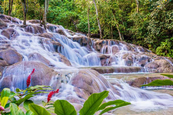 Dunn's River Falls & Blue Hole Day Trip