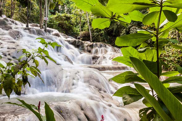 Excursão às cascatas do rio Dunn