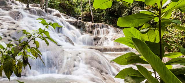 Excursion aux chutes de la Dunn + Ascension de la cascade