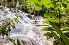Dunn's River Falls Half-Day Trip + Cascade Climb