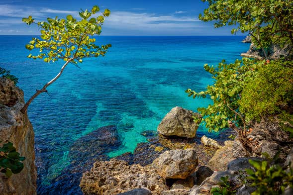 Excursion à Negril