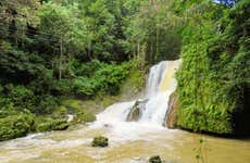 Black River & YS Falls Day Trip