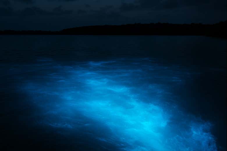 Admirez les effets fascinants de la lagune lumineuse
