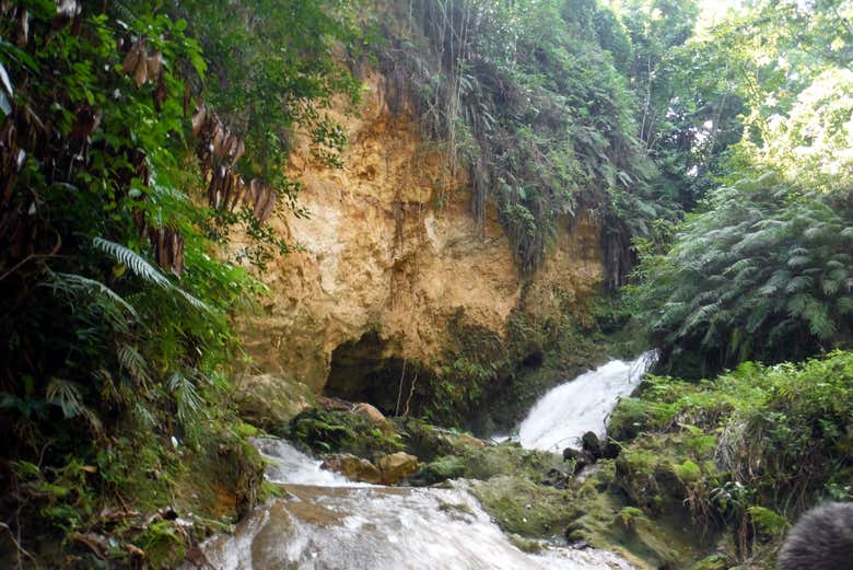 Una biodiversidad única en Agujero Azul