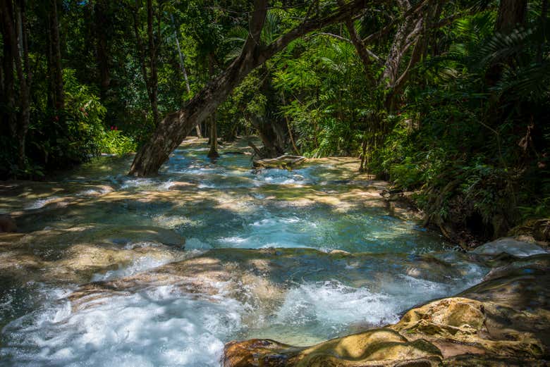Entorno de las cascadas del río Dunn