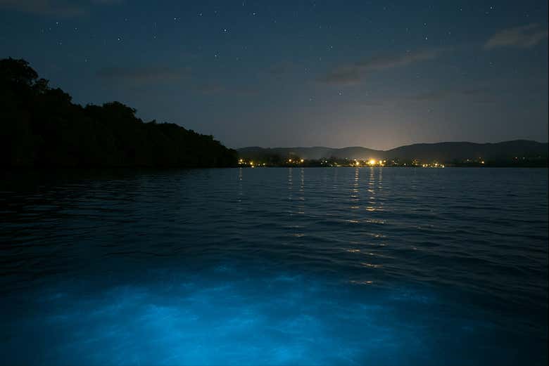 Une expérience incontournable !