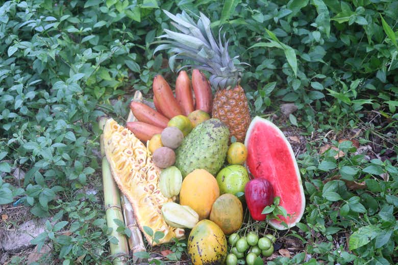 Las frutas de la granja