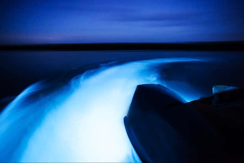 Solcando acque bioluminescenti