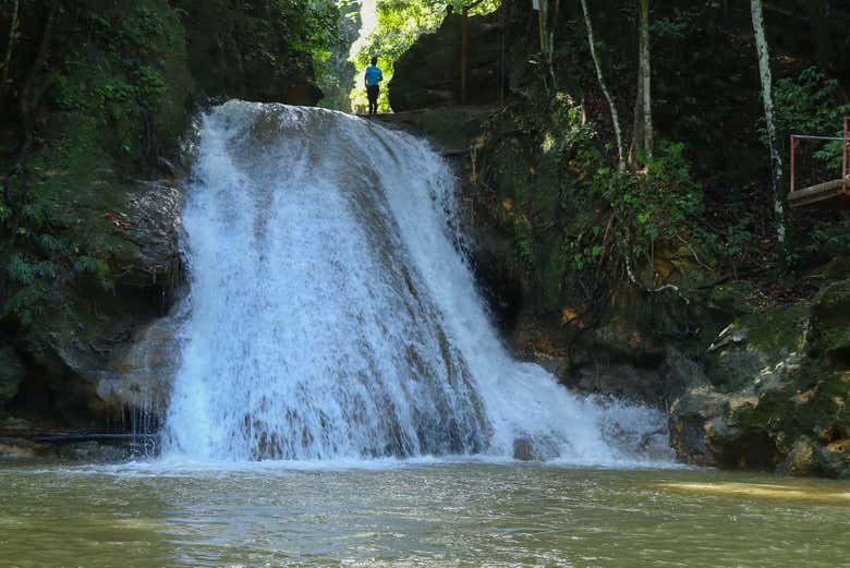 Take a dip in the water!
