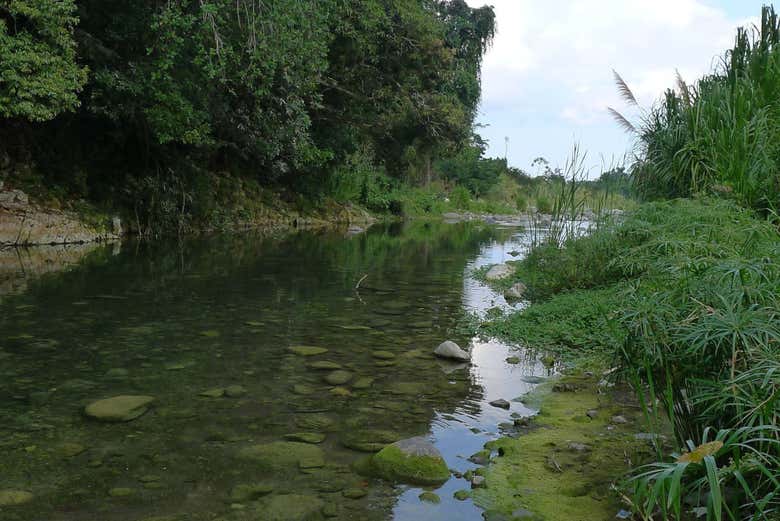 Rio Buff Bay
