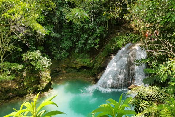 Excursão às cascatas do rio Dunn e Blue Hole