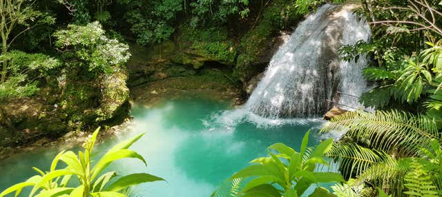 Excursion aux Chutes de la Dunn et Blue Hole