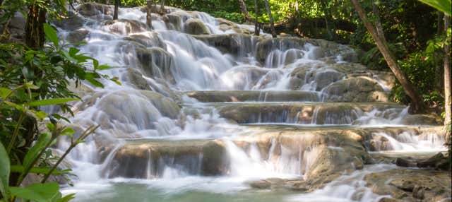 Paseo en catamarán por las cascadas del río Dunn