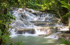 Giro in catamarano alle cascate del fiume Dunn