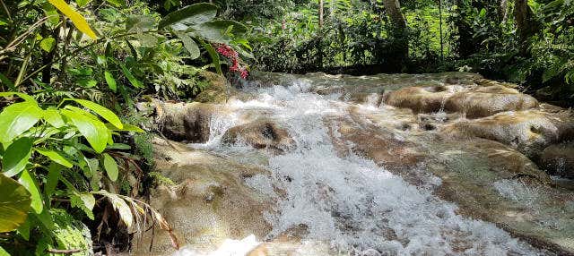 Excursão às cachoeiras do rio Dunn