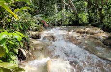 Dunn's River Falls Day Trip