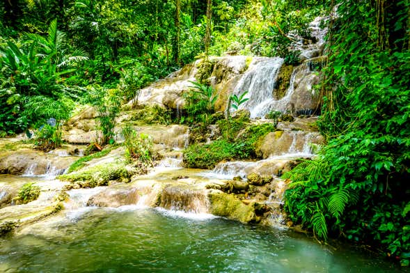Escursione alle cascate Konoko Falls e alle grotte Green Grotto