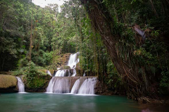 Black River & YS Falls Day Trip from Runaway Bay - Civitatis.com