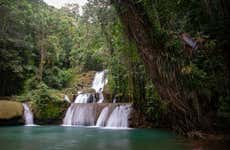 Black River & YS Falls Day Trip