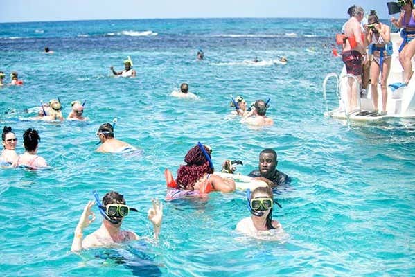 Você pode dar um mergulho ao lado do catamarã