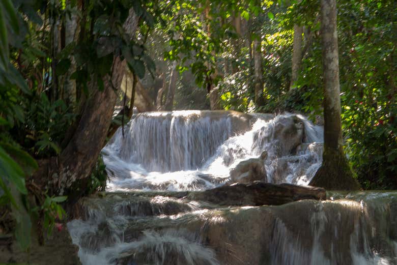 La cascata più bella del nord della Jamaica
