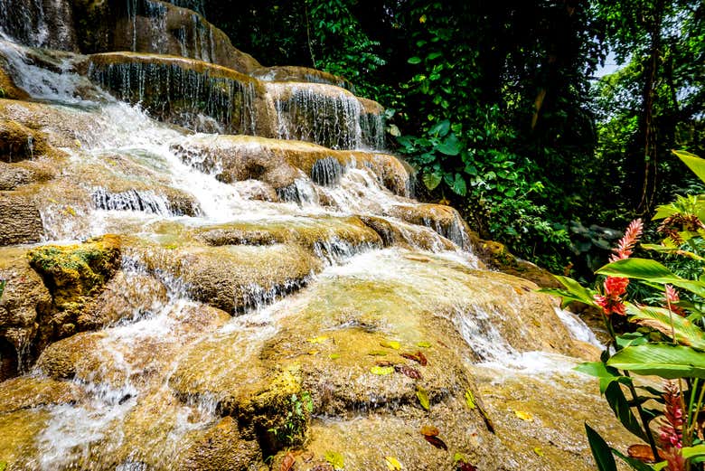 Os encantará estar en plena naturaleza de Jamaica