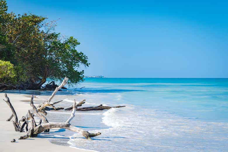 Playa Seven Mile