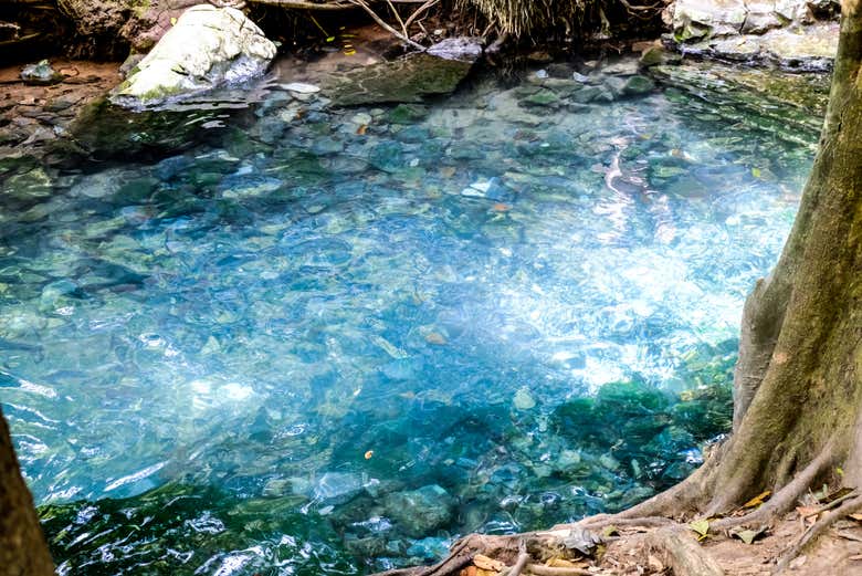 A água cristalina do Blue Hole