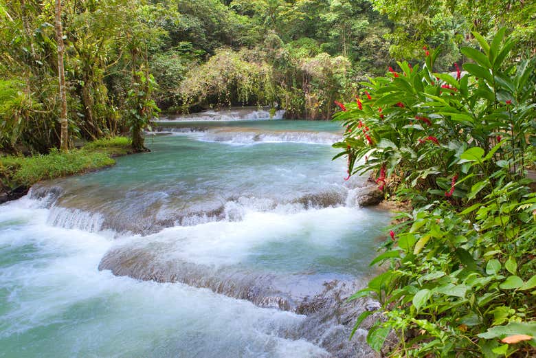 Vista panorámica de las cataratas de Dunn