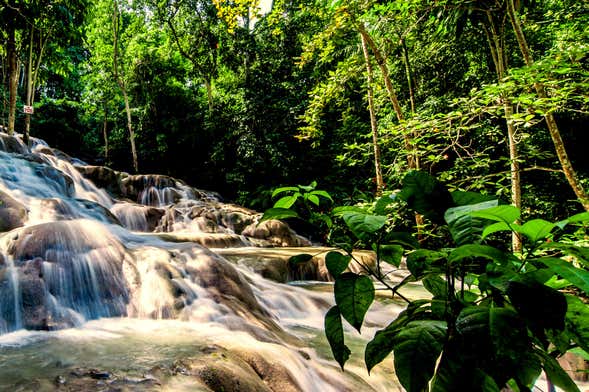 Excursión a Ocho Ríos + Cascadas del río Dunn