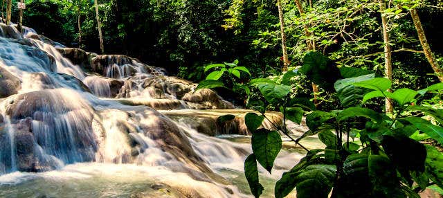 Excursión a Ocho Ríos + Cascadas del río Dunn