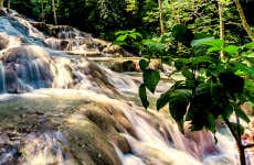 Ocho Rios & Dunn's River Falls Day Trip