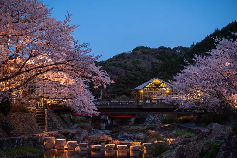 Sources thermales Nagato Yumoto Onsen