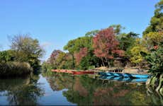 Giro in canoa sul fiume Yanagawa con pranzo
